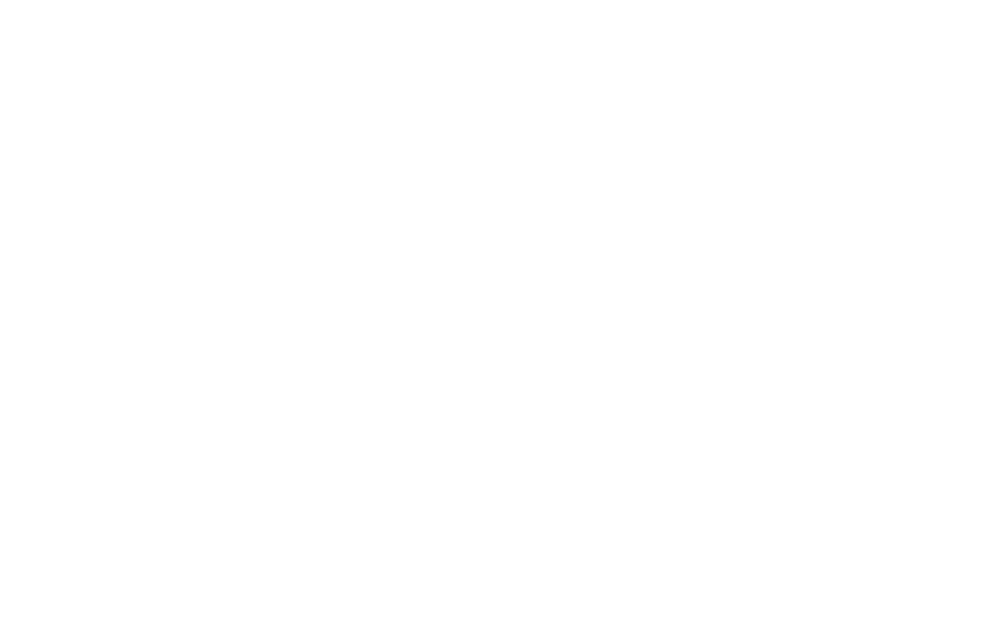 BizFlow